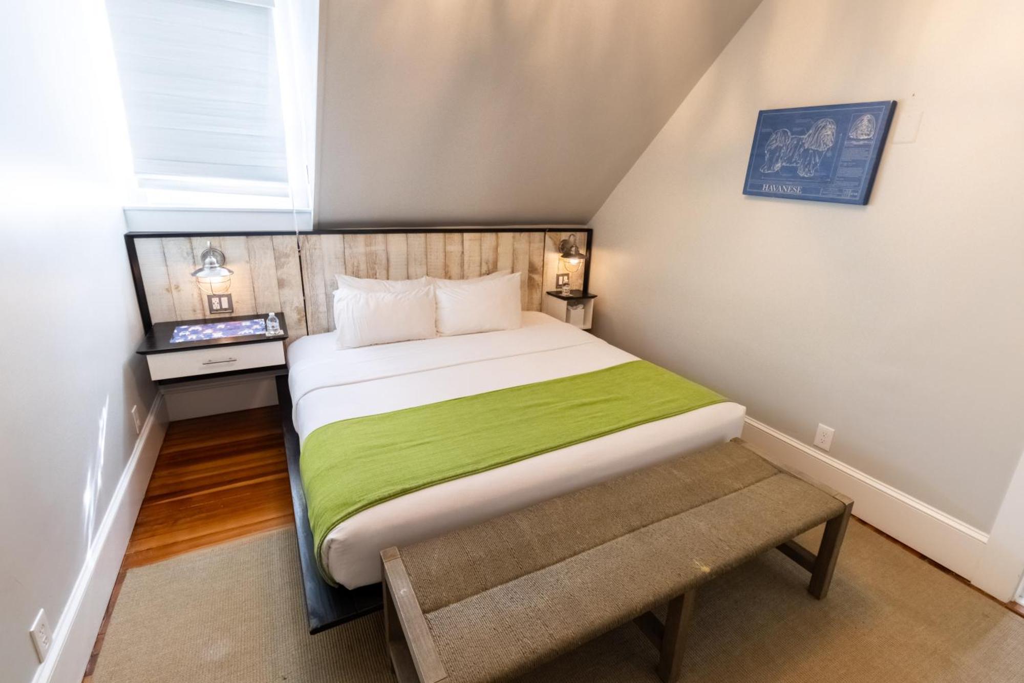 Paws On Pelham (Adults Only) Bed and Breakfast Νιούπορτ Εξωτερικό φωτογραφία