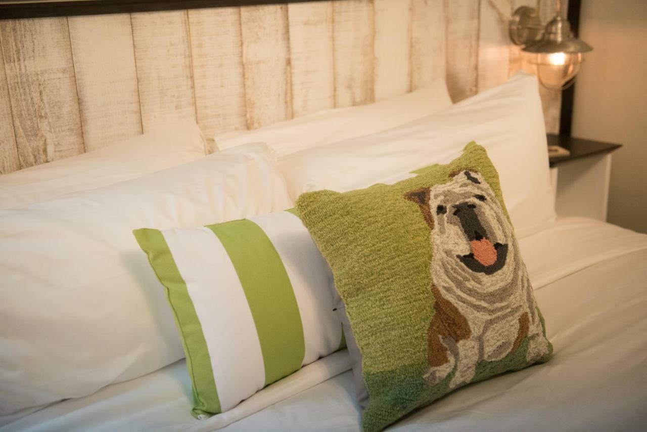 Paws On Pelham (Adults Only) Bed and Breakfast Νιούπορτ Εξωτερικό φωτογραφία