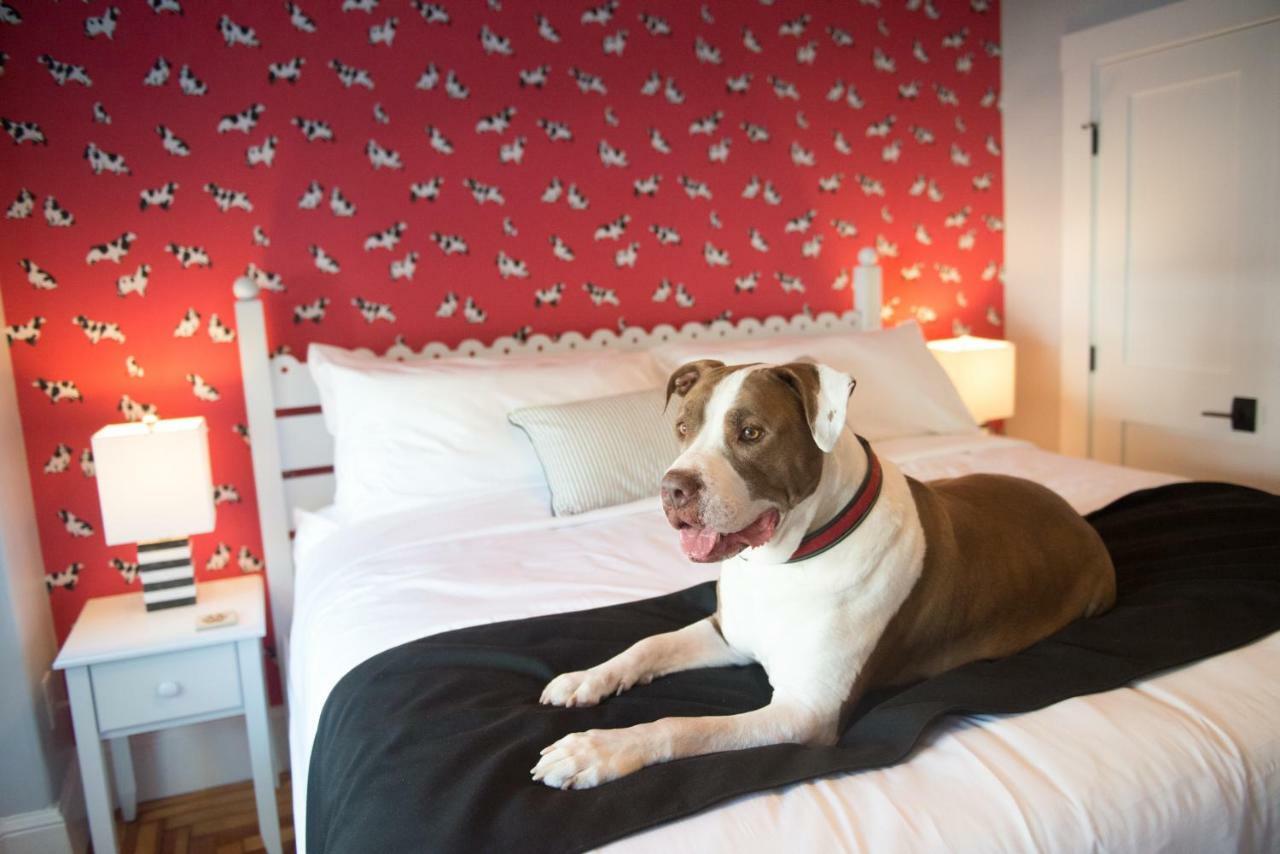 Paws On Pelham (Adults Only) Bed and Breakfast Νιούπορτ Εξωτερικό φωτογραφία