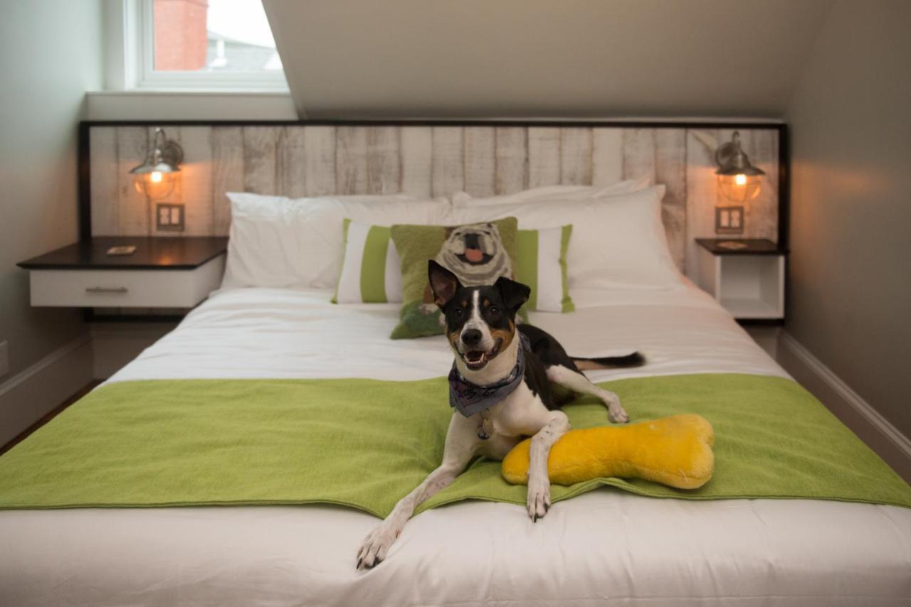 Paws On Pelham (Adults Only) Bed and Breakfast Νιούπορτ Εξωτερικό φωτογραφία